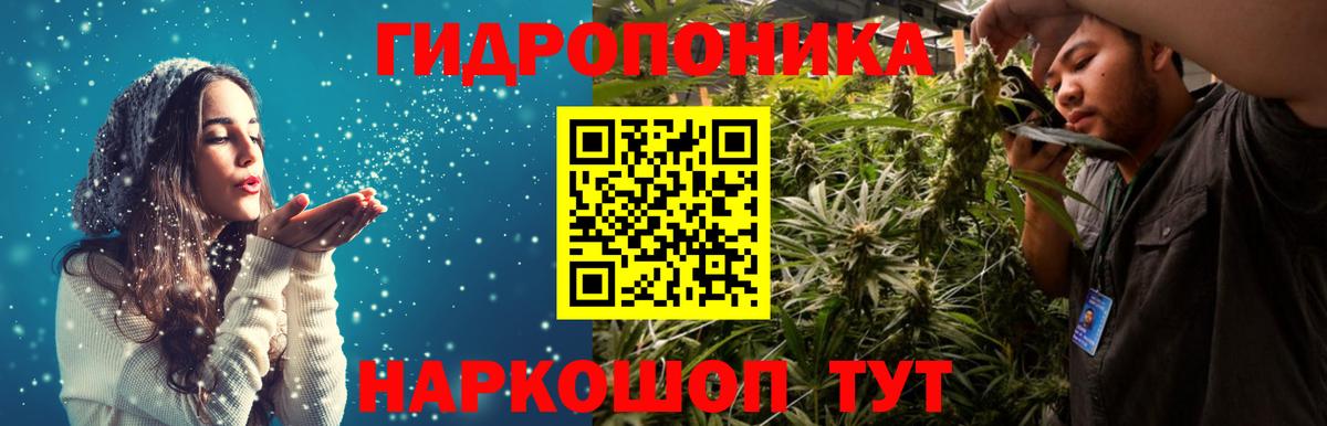Каннабис планчик Киржач